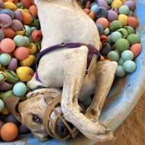 Thumbnail photo of Titus #2