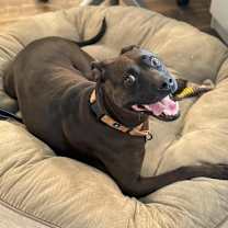 Thumbnail photo of Tootsie #2
