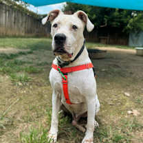 Thumbnail photo of Biggs #3