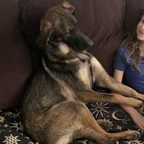 Thumbnail photo of Minnie #3