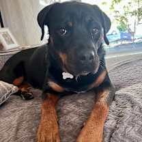 Thumbnail photo of Fiona2 #3