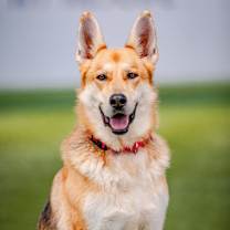 Thumbnail photo of Nya #1