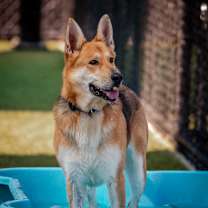 Thumbnail photo of Nya #2