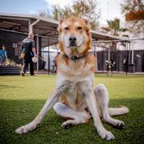 Thumbnail photo of Nya #3