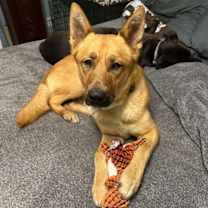 Thumbnail photo of Marley #2