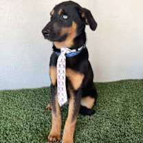 Thumbnail photo of Jacob #3