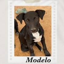 Thumbnail photo of Modelo #2