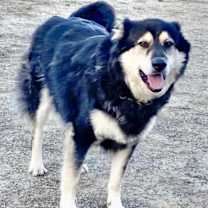 Thumbnail photo of Cloud #1