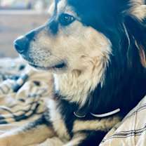 Thumbnail photo of Cloud #2