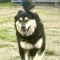 Thumbnail photo of Cloud #3