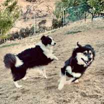 Thumbnail photo of Cloud #4