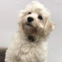 Thumbnail photo of Jordan #3