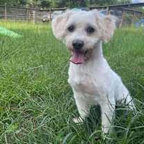 Thumbnail photo of Renan #1