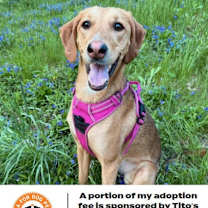 Thumbnail photo of Bloom D14207 (Sponsored) #1