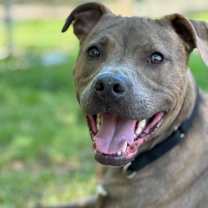 Thumbnail photo of Scout #2