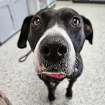 Thumbnail photo of Waverly #1