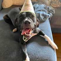 Thumbnail photo of Tequila Sunrise #1