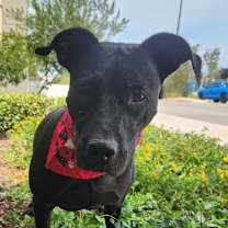 Thumbnail photo of Yaya JuM #4