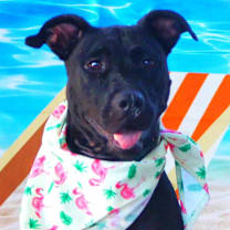 Thumbnail photo of Yaya JuM #2