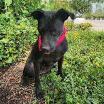 Thumbnail photo of Yaya JuM #3