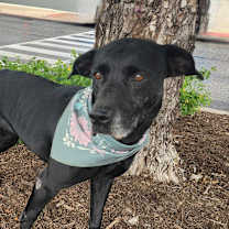Thumbnail photo of Harper JuM #3