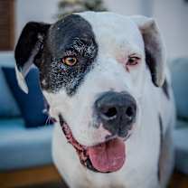 Thumbnail photo of Zena A2019230 #1