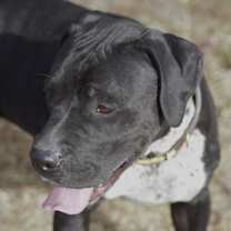 Thumbnail photo of Pinky #4