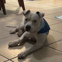 Thumbnail photo of Dante A #2