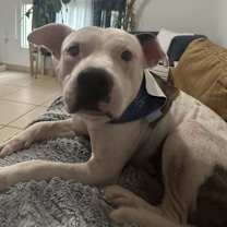 Thumbnail photo of Dante A #3