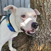 Thumbnail photo of Dante A #4