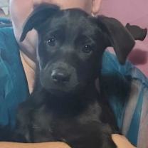 Thumbnail photo of Peaches #2