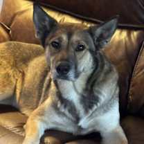 Thumbnail photo of Princess #1