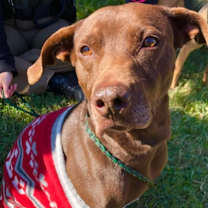 Thumbnail photo of Cordelia #1