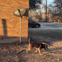 Thumbnail photo of Blade #3