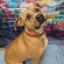 Thumbnail photo of Marshall #2