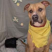 Thumbnail photo of Marshall #3