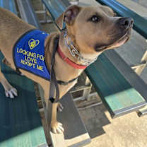 Thumbnail photo of Marshall #4