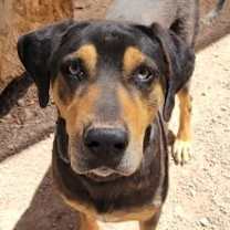 Thumbnail photo of Jake #2