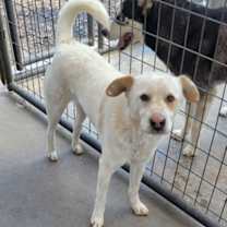 Thumbnail photo of Buddy #2