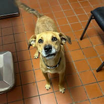 Thumbnail photo of Walter #2