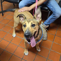 Thumbnail photo of Gordo #2