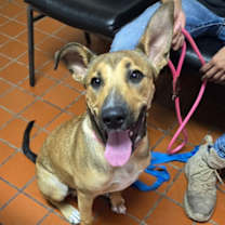 Thumbnail photo of Gordo #3