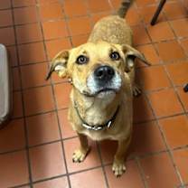 Thumbnail photo of Walter #3