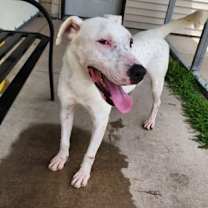 Thumbnail photo of Drake #2