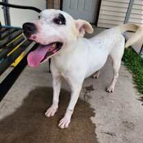 Thumbnail photo of Drake #3