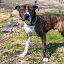 Thumbnail photo of Clyde #2
