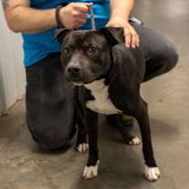 Thumbnail photo of Marbles #3