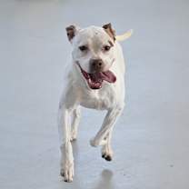 Thumbnail photo of Lily #2