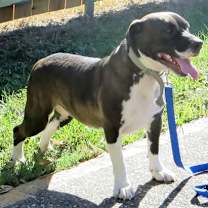 Thumbnail photo of Lucky #2