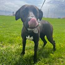 Thumbnail photo of Abbie #2